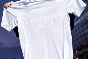 火博官网 -阿森纳训练开放日，今晨再遭质疑引欢呼，足总杯在即，团队化学反应显著(周三008欧冠阿森纳vs摩纳哥)